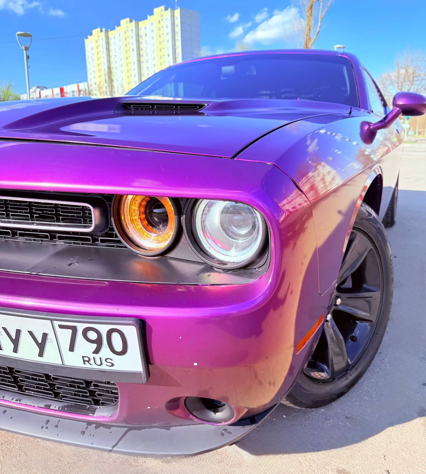 Dodge Challenger - миниатюра 2