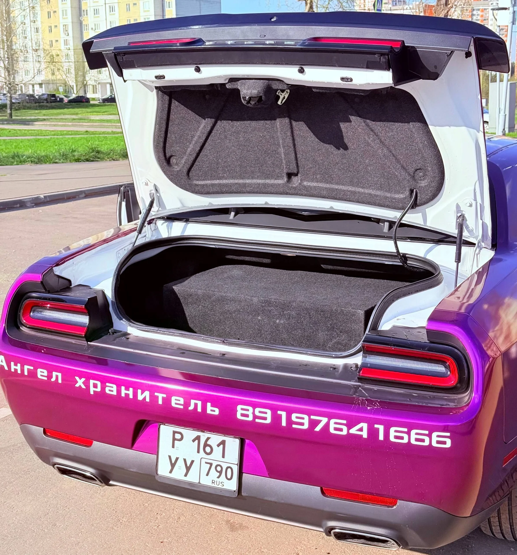 Dodge Challenger - миниатюра 29