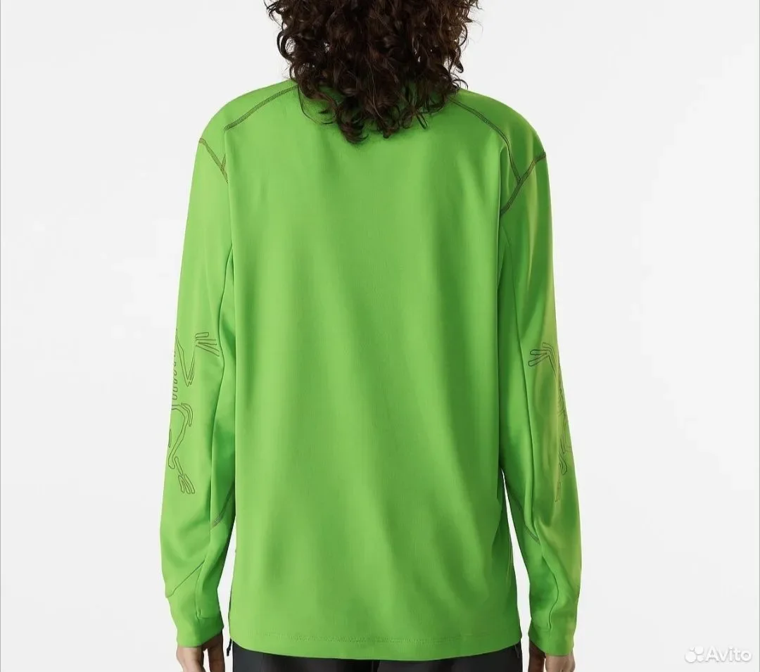 Свитшот Arc'teryx System Bird Style - миниатюра 2