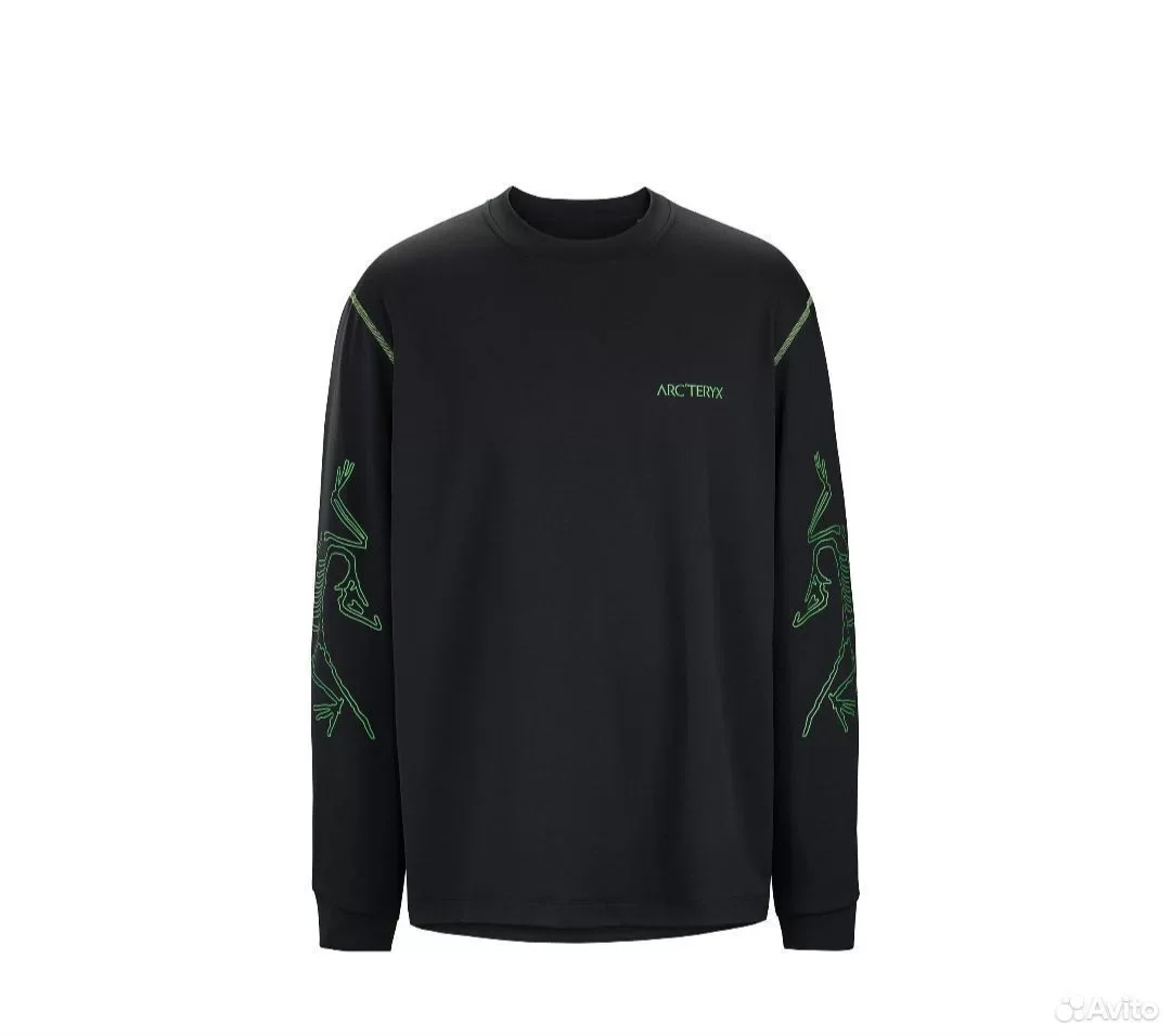 Свитшот Arc'teryx System Bird Style - миниатюра 3