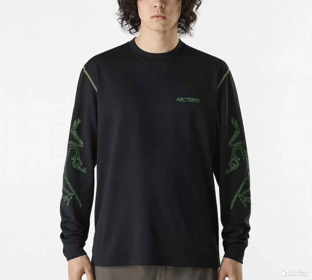 Свитшот Arc'teryx System Bird Style - миниатюра 4