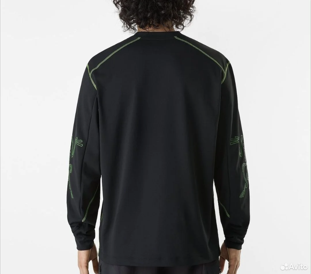 Свитшот Arc'teryx System Bird Style - миниатюра 5