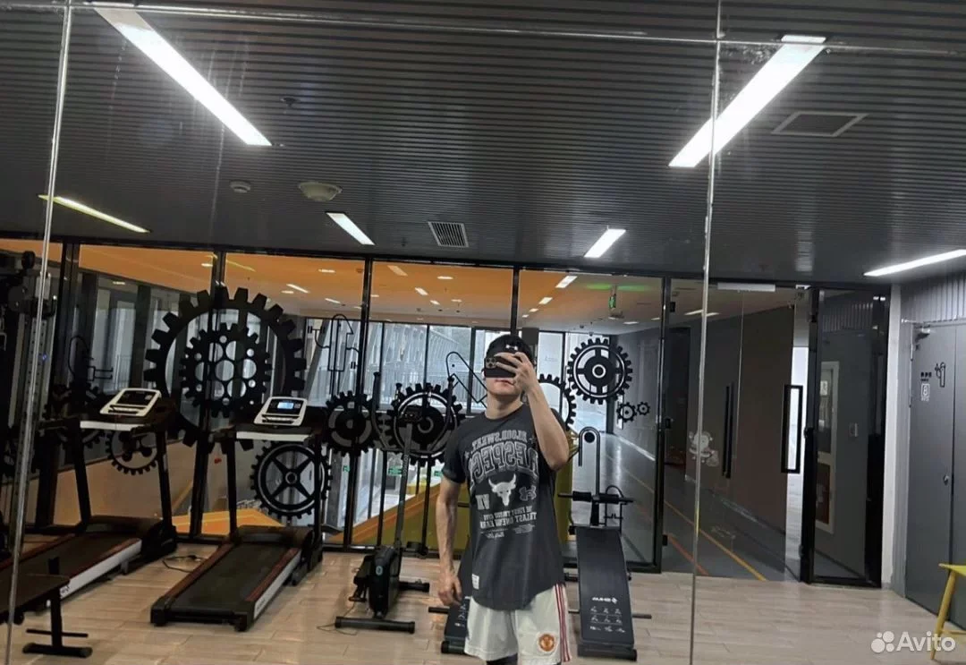 Футболка Under Armour Project Rock Grey - миниатюра 4