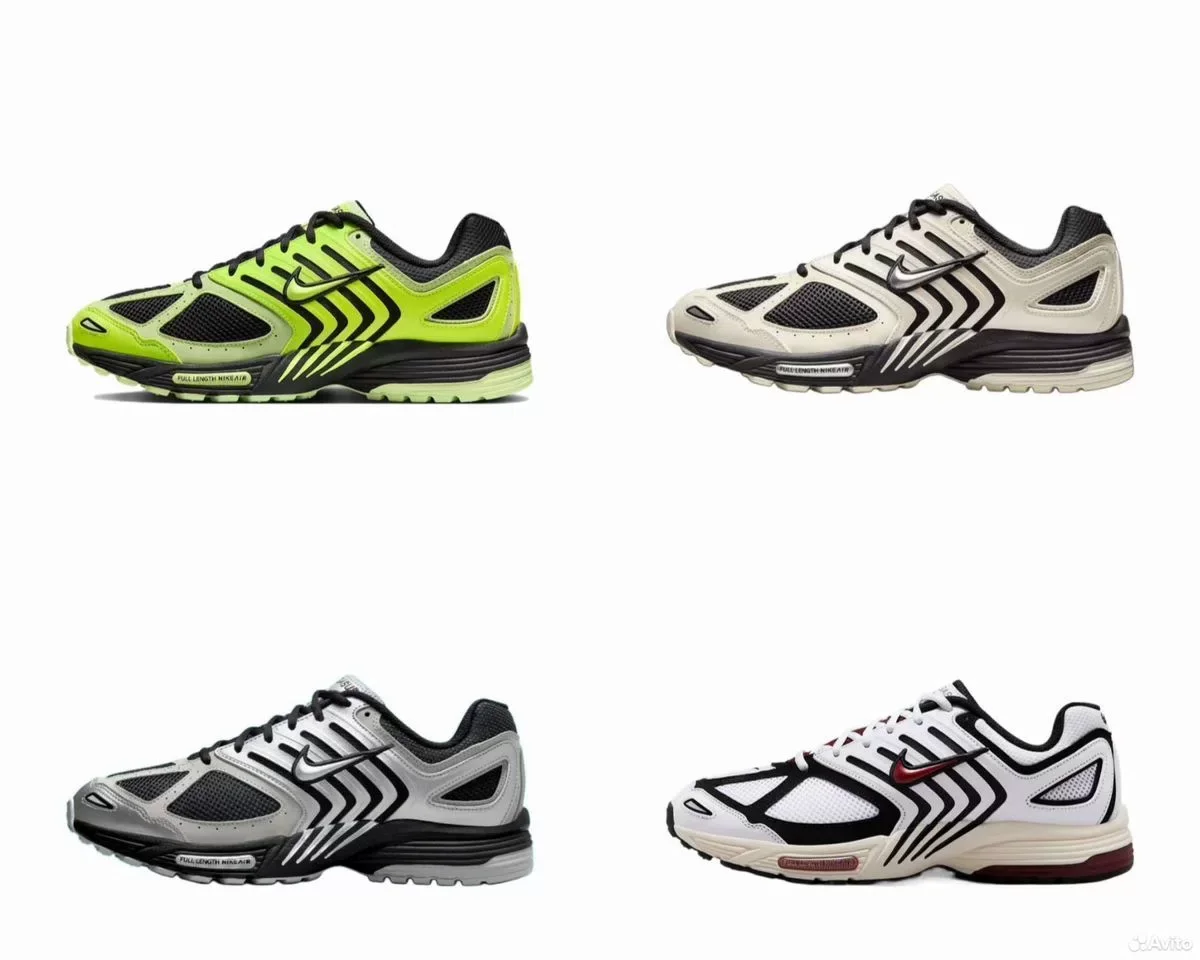 Кроссовки Nike Air Pegasus 2005