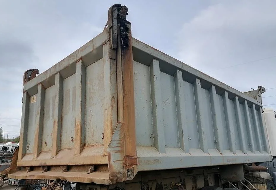 Кузов в сборе Scania P 380 DC11 09L01 PDE 2007 - миниатюра 7