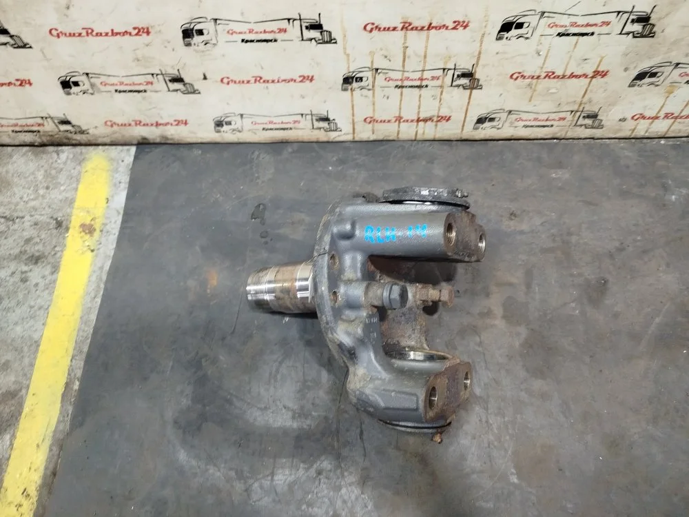 Кулак поворотный (цапфа) Renault K 9596-09-50 DXI - миниатюра 2