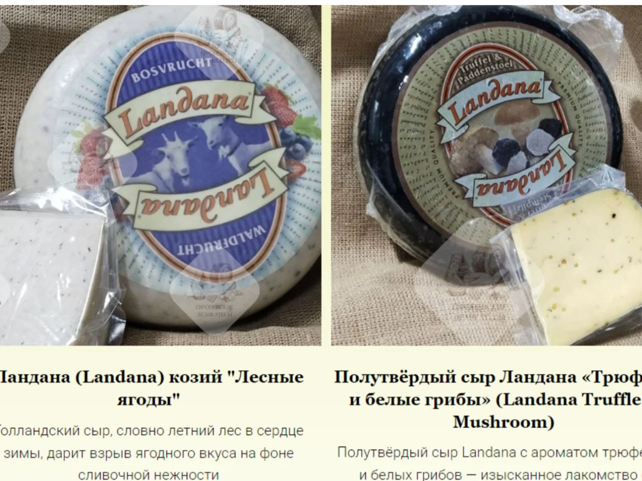 Moliterno al Tartufo · Итальянский овечий сыр с трюфелем - миниатюра 6