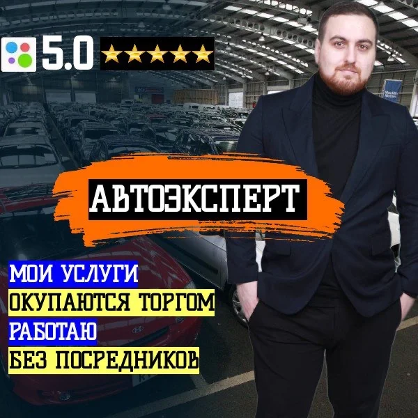 Автоподбор/подбор авто/выездная диагностика - изображение 1