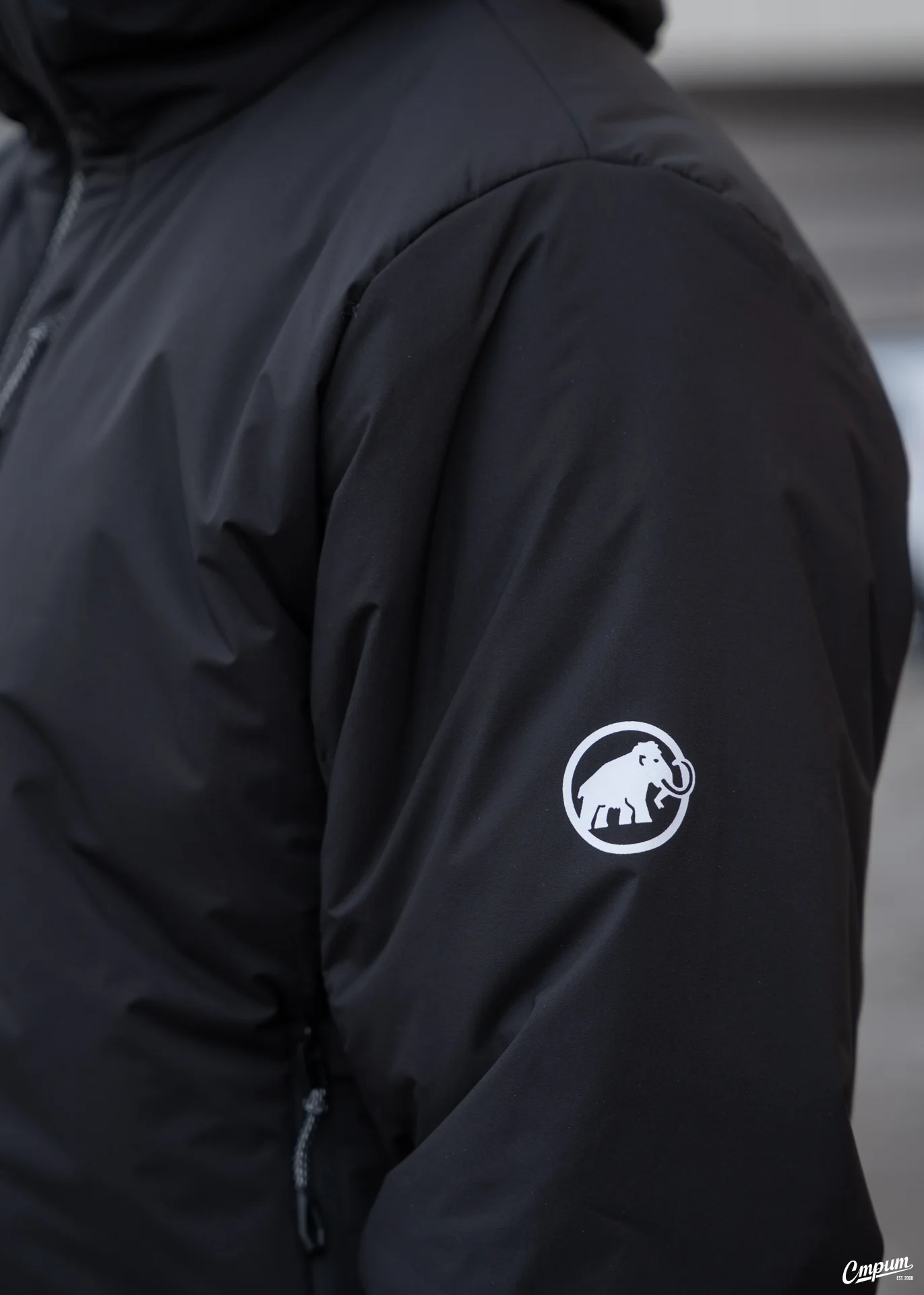 Демисезонная куртка Mammut «Rime IN Flex Hooded» - миниатюра 3