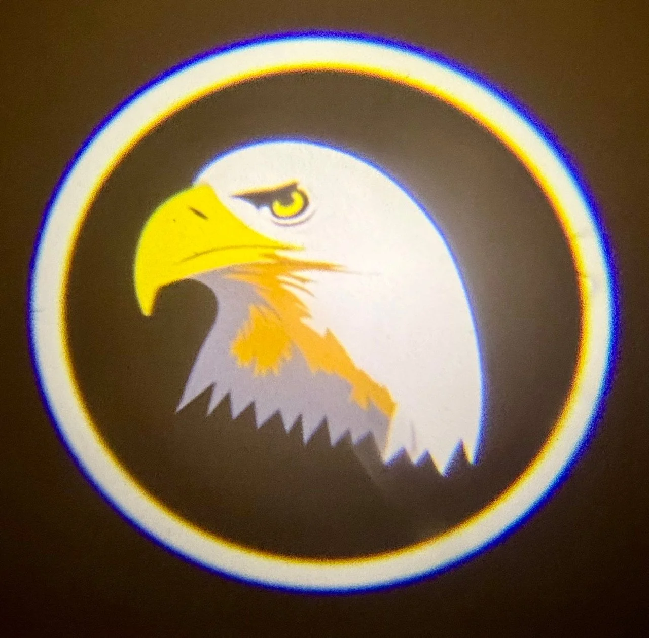 Проекция логотипа EAGLE (234) - изображение 1