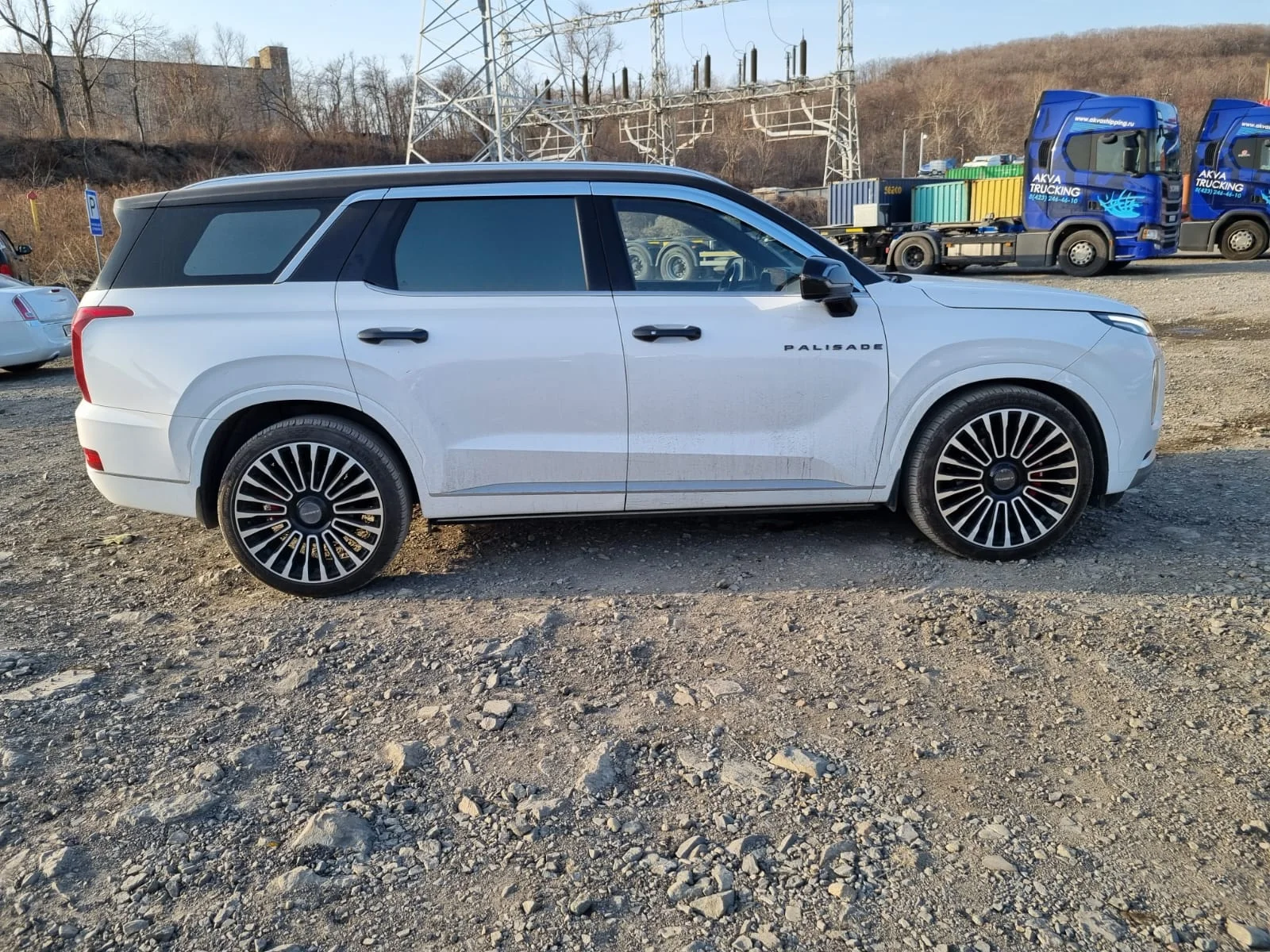 Hyundai Polisade - миниатюра 7