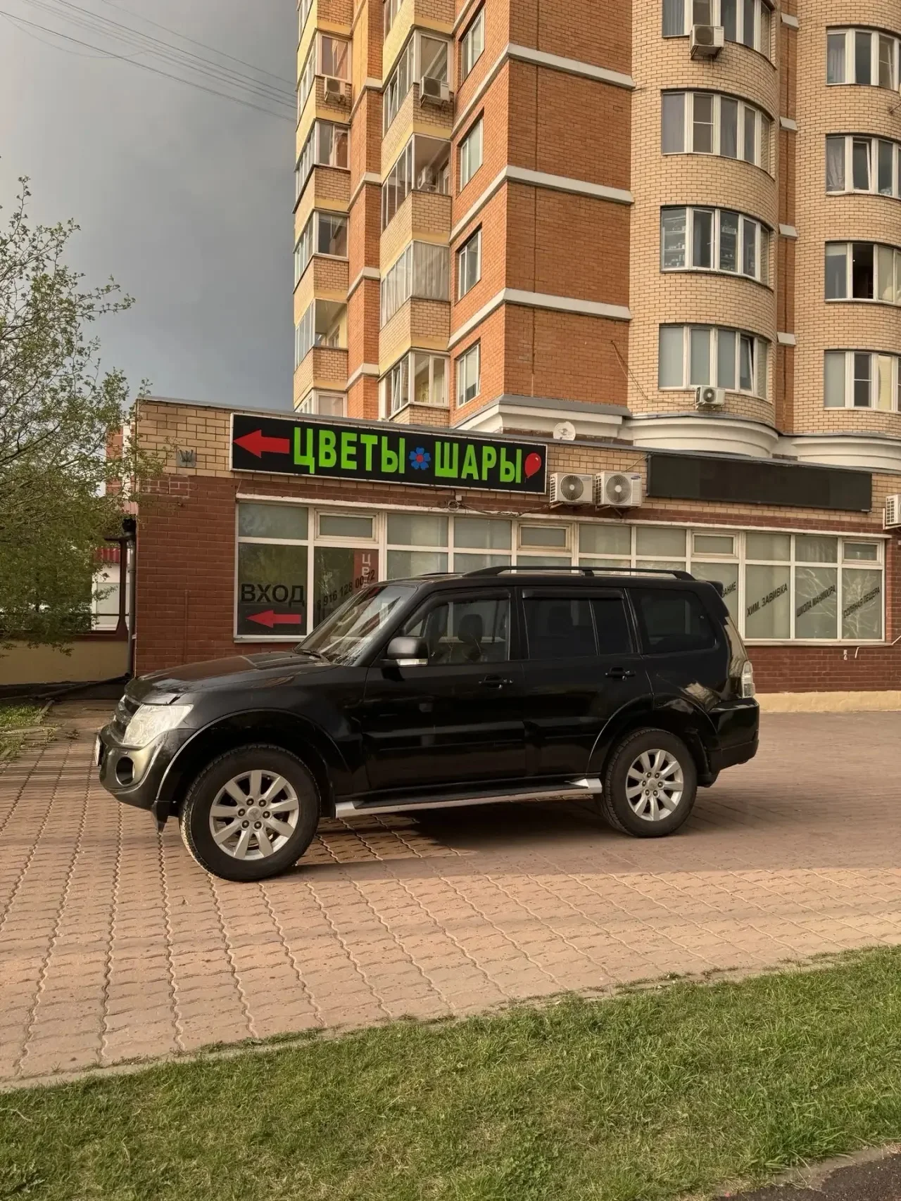 Mitsubishi Pajero - миниатюра 7