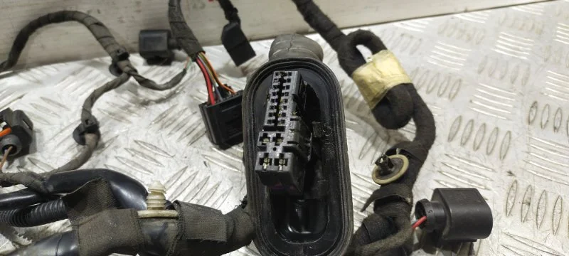 Проводка двери задняя правая Audi A8 D3/Д3 BFM - миниатюра 2