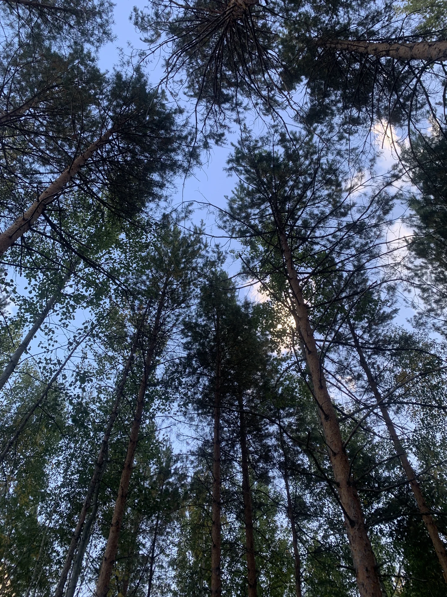 Продаю участок в уникальном месте - изображение 1