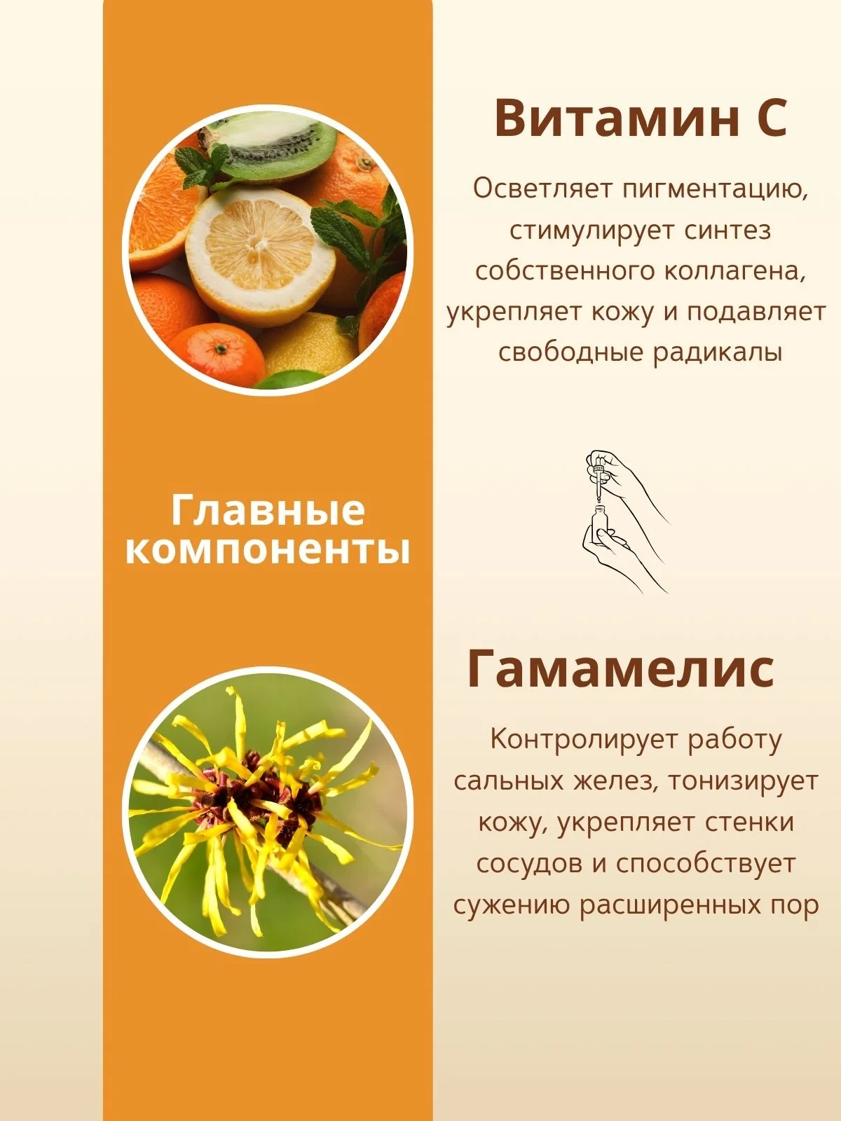 Инфографика дизайн для карточки - миниатюра 14