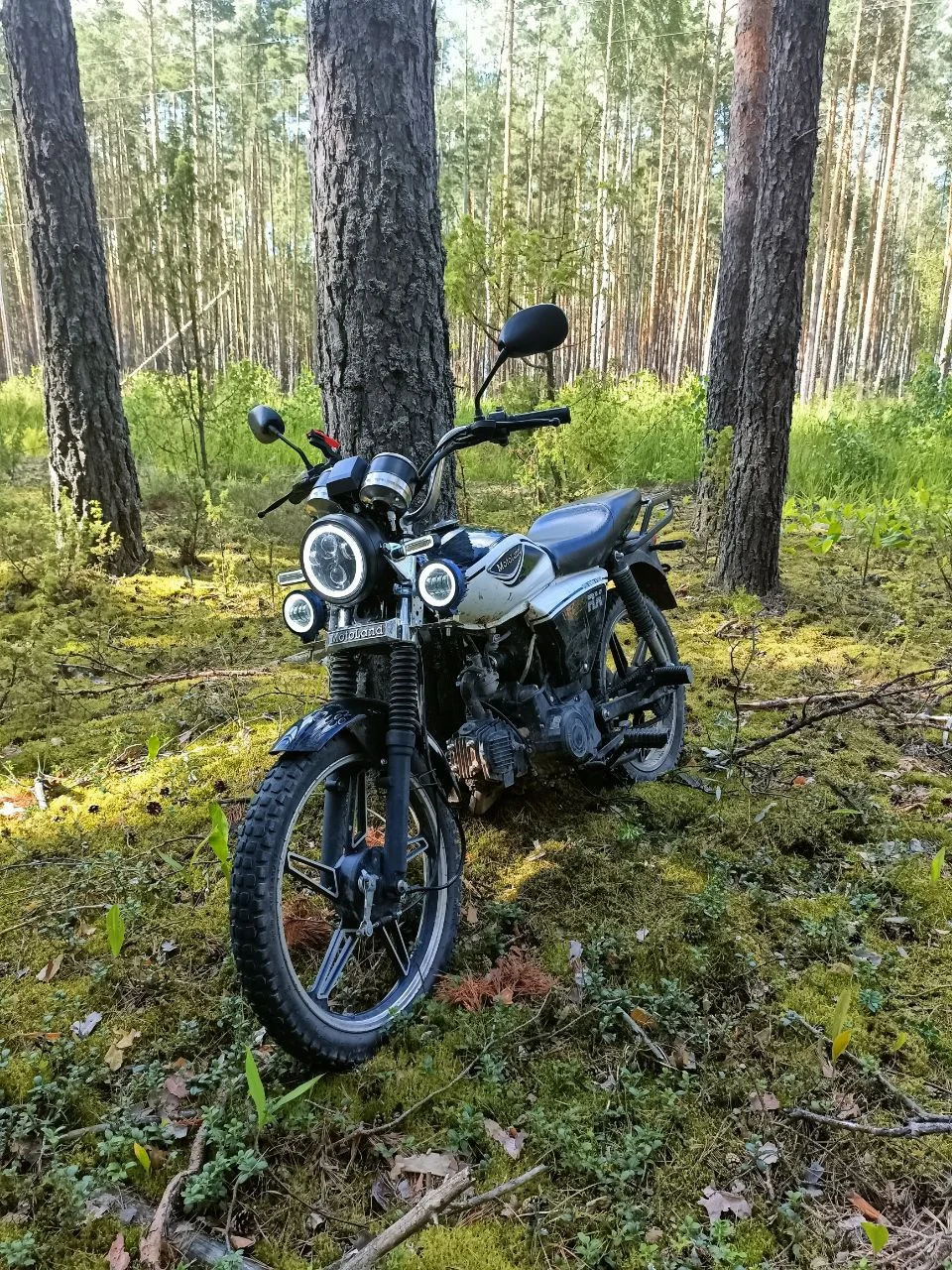Alpha RX - изображение 1