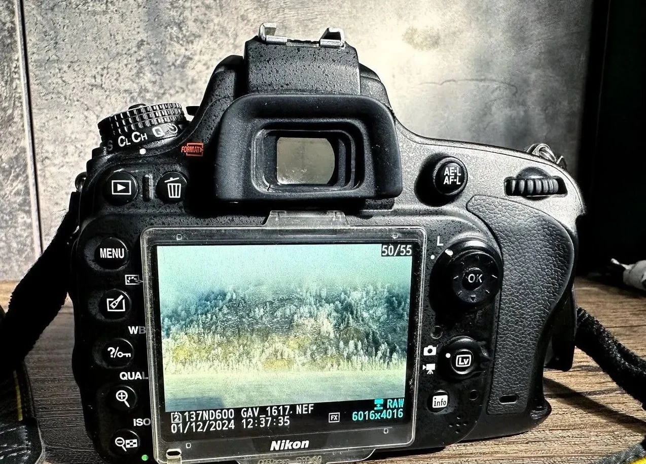 Фото Nikon d600 полный кадр + 50 мм 1.8 - миниатюра 2