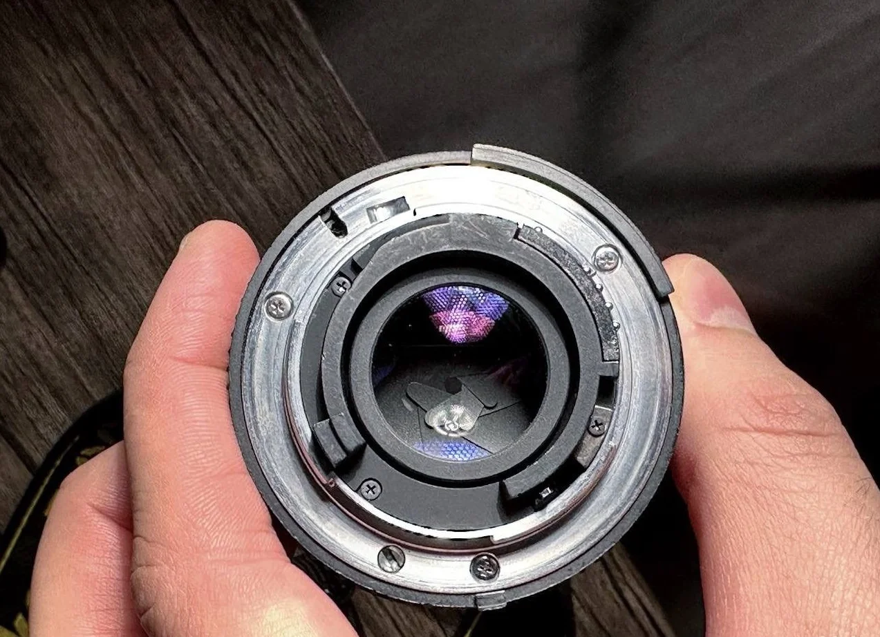 Фото Nikon d600 полный кадр + 50 мм 1.8 - миниатюра 3