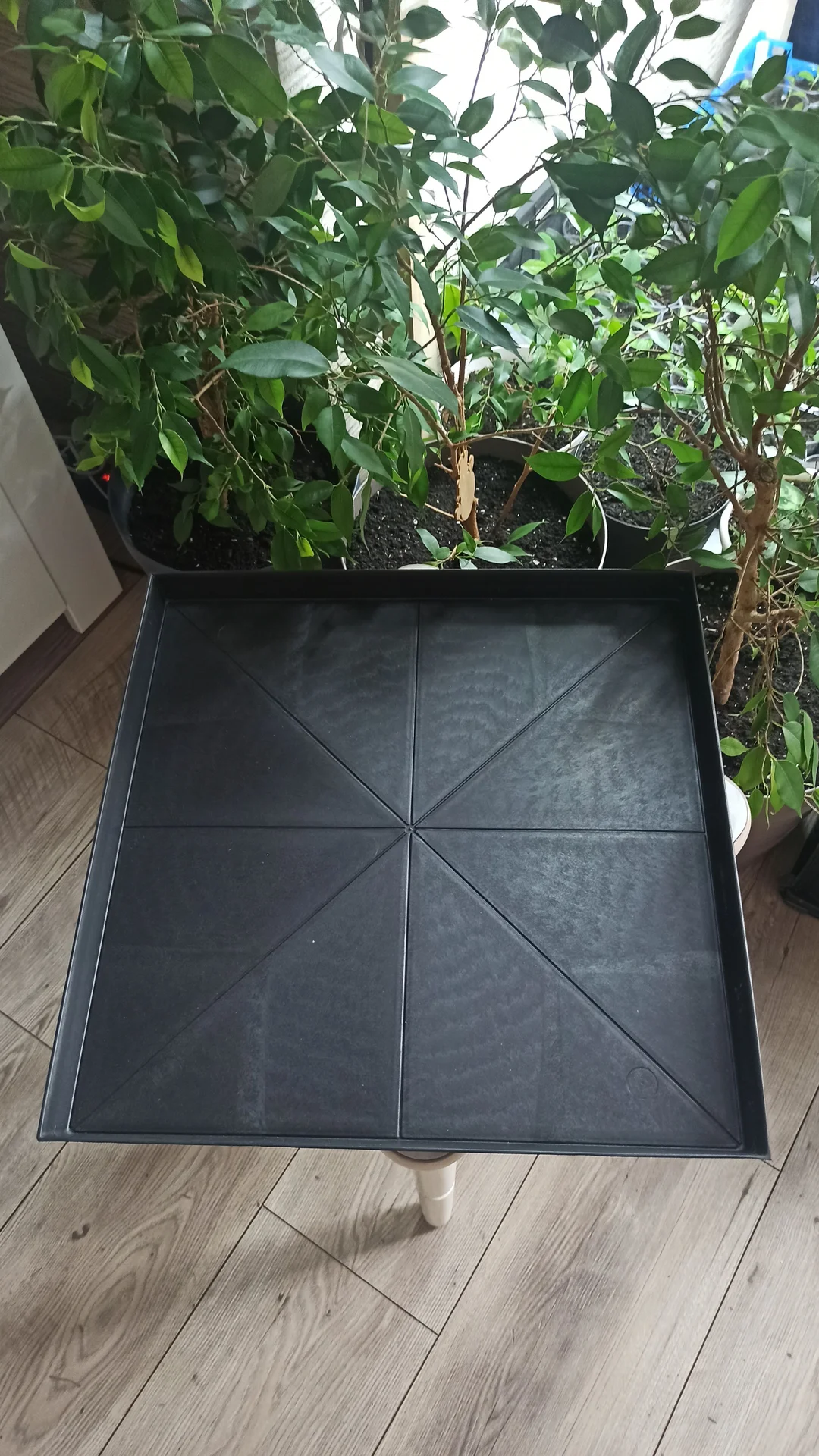 🌱 КАССЕТЫ ДЛЯ РАССАДЫ – 25 ЯЧЕЕК + ПОДДОН - миниатюра 5