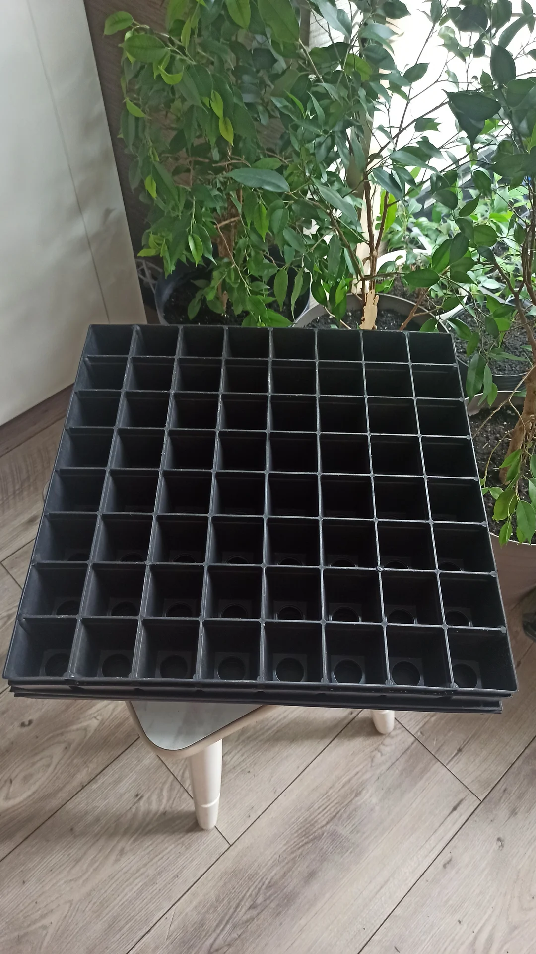 🌱 ПРОДАЮ КАССЕТЫ ДЛЯ РАССАДЫ (64 ЯЧЕЙКИ + ПОДДОН) - миниатюра 2