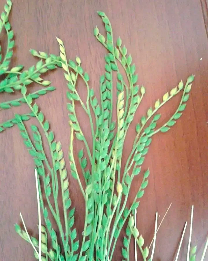 Искусственные цветы - злаки - миниатюра 3