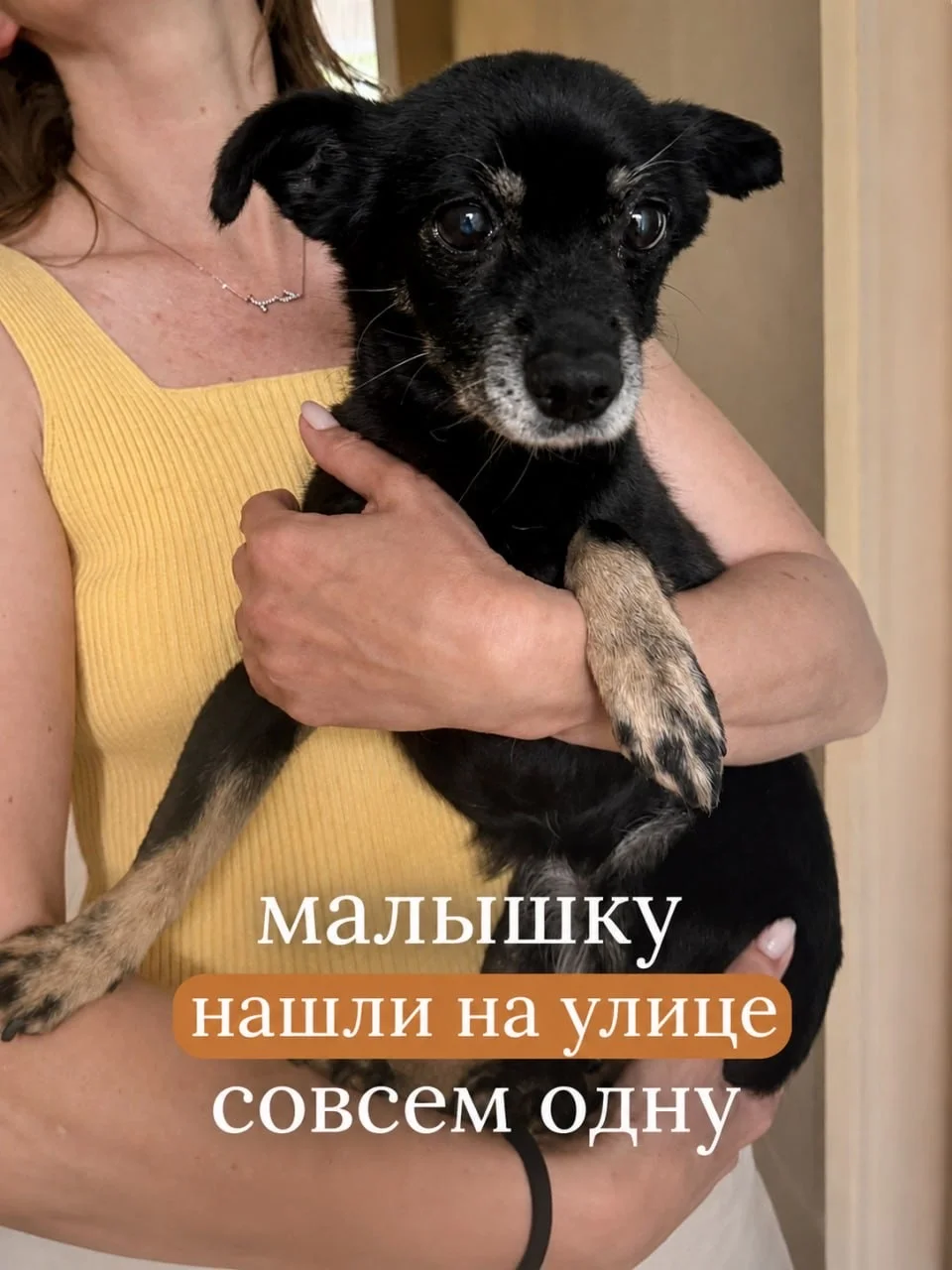 Бабуля ищет дом - миниатюра 2