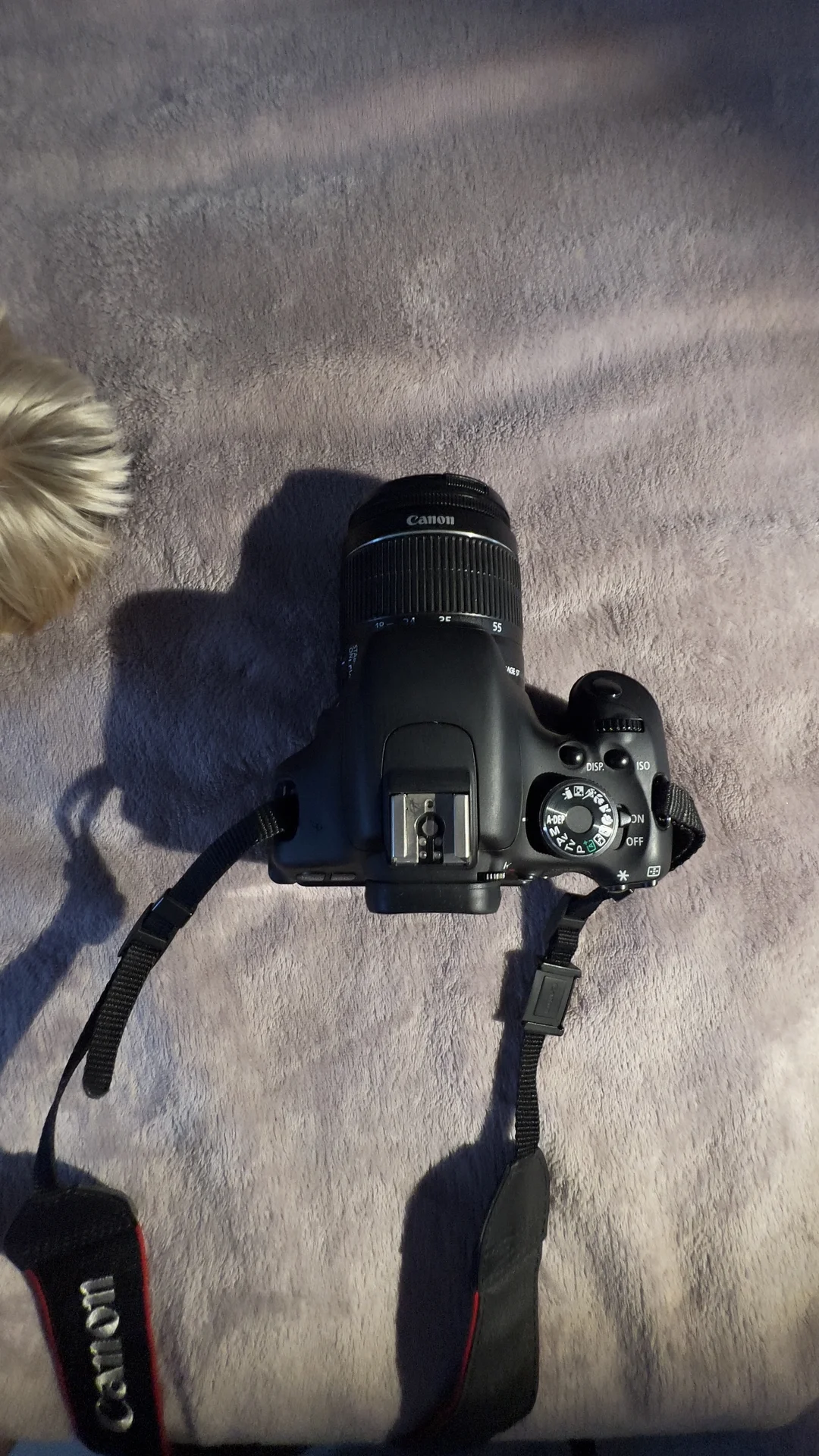 Canon EOS 600d - миниатюра 6
