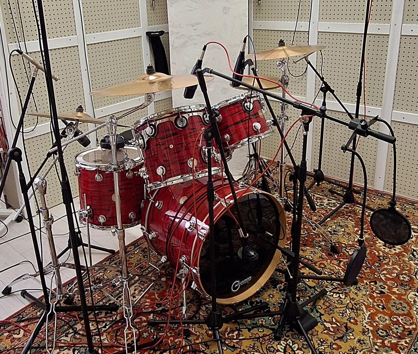 Ударная установка DW Collectors series Finishply 12,14,16,22 - миниатюра 6