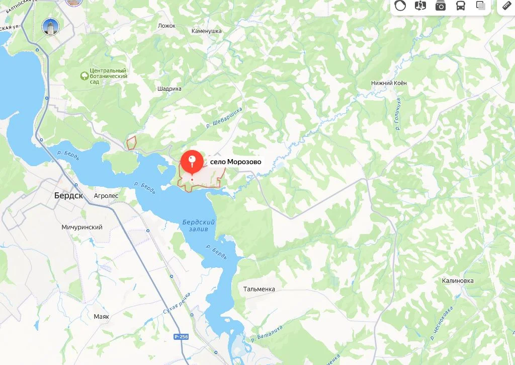 Продам земельный участок с. Морозово Новосибирская область - миниатюра 3