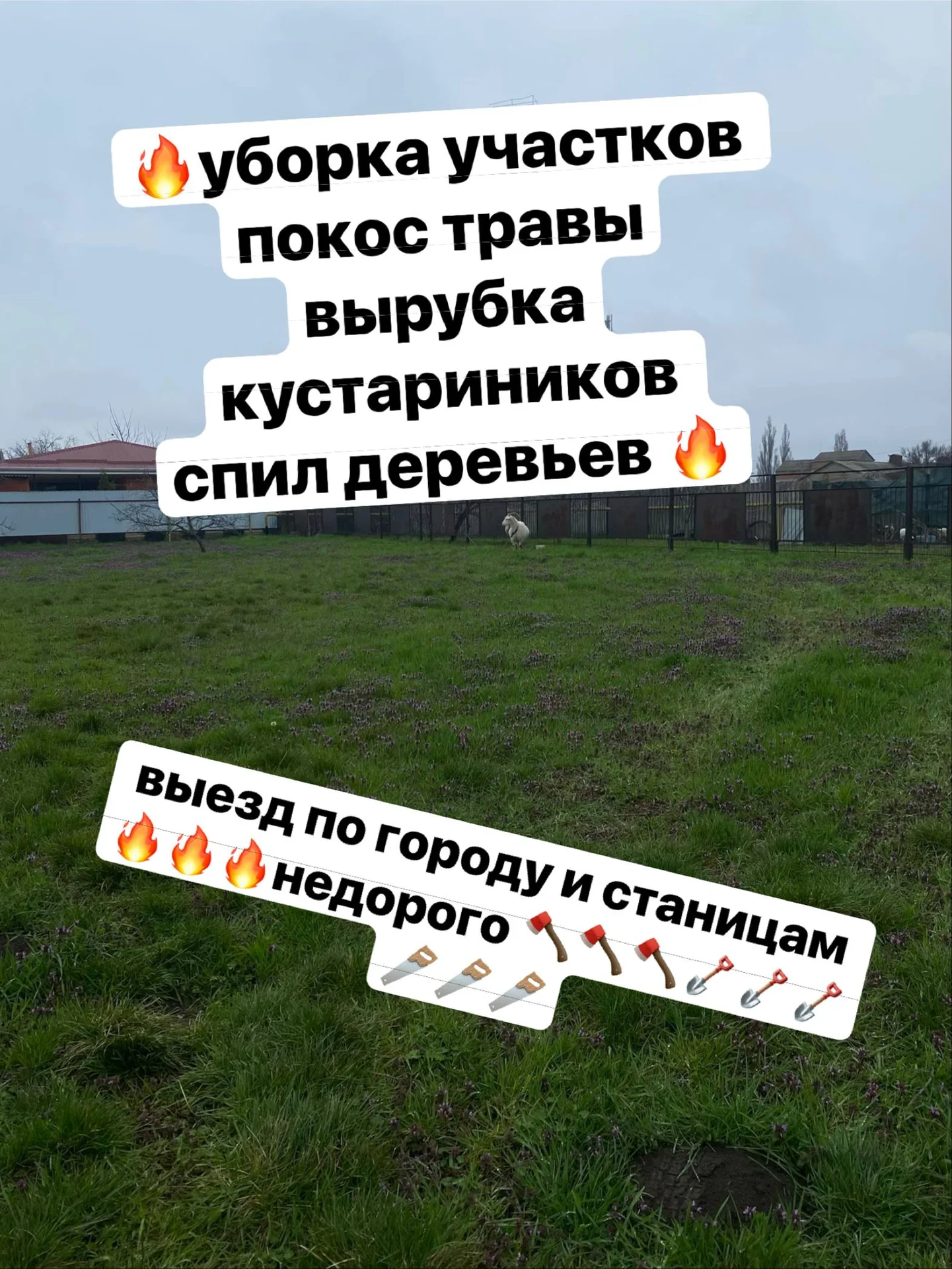 покос травы уборка участков - изображение 1