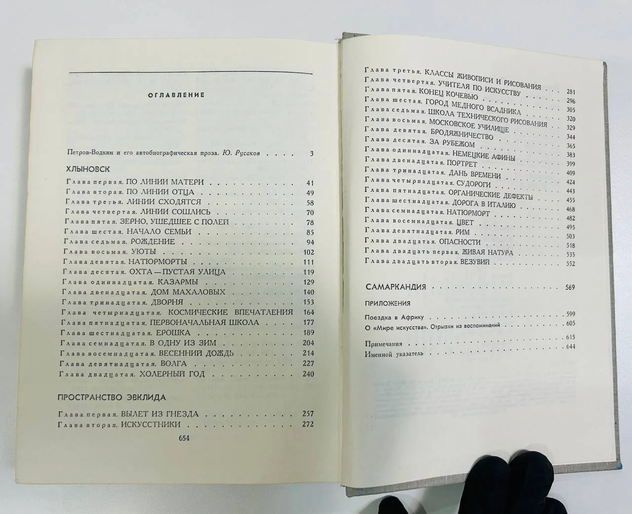 Книга Хлыновск Пространство Эвклида Самаркандия К.С. Петров-Водкин 1982 год - миниатюра 5