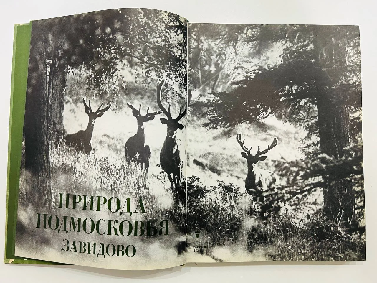 Книга Фотоальбом Природа подмосковья Завидово 1984 год - миниатюра 3
