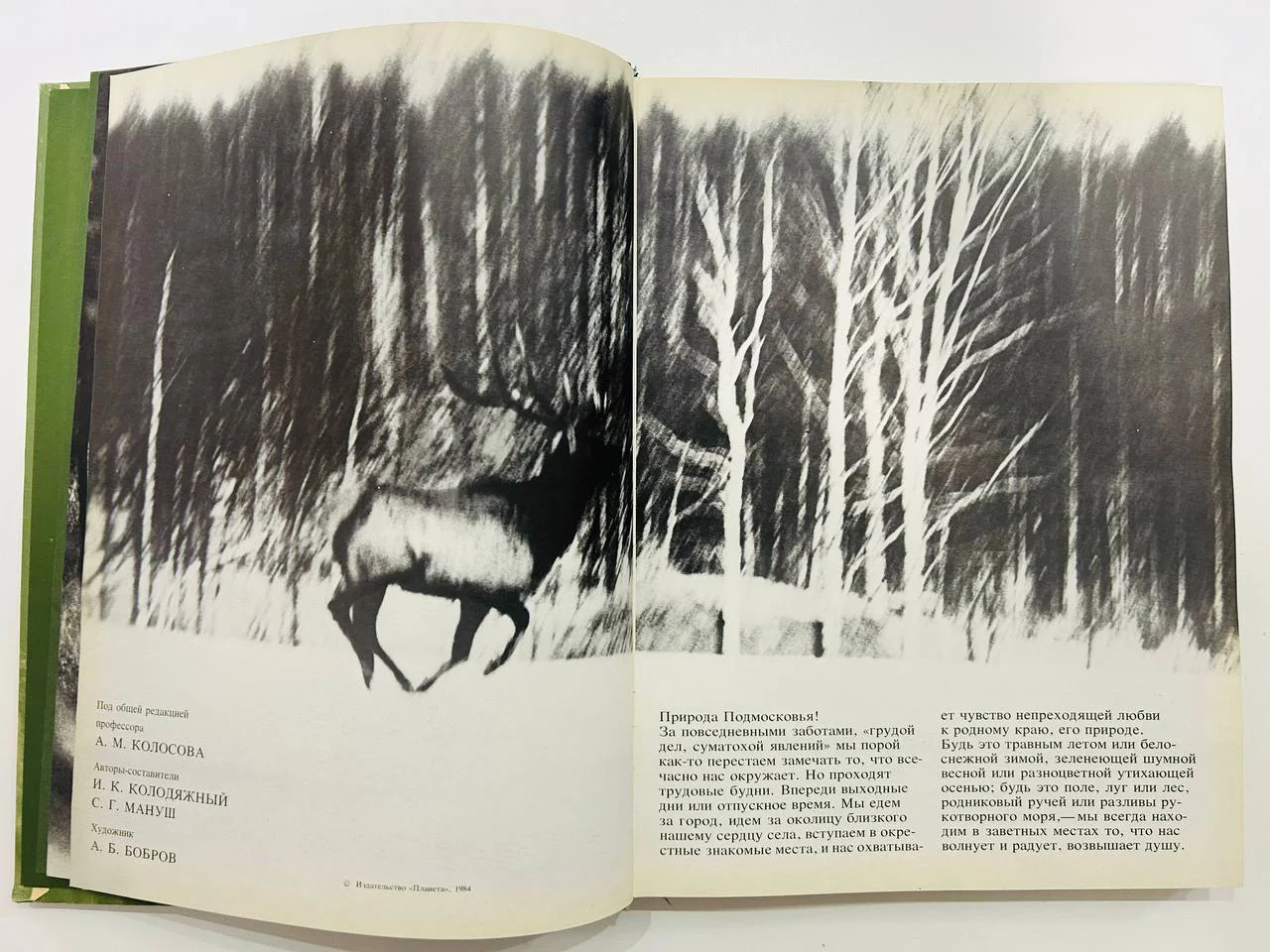 Книга Фотоальбом Природа подмосковья Завидово 1984 год - миниатюра 4
