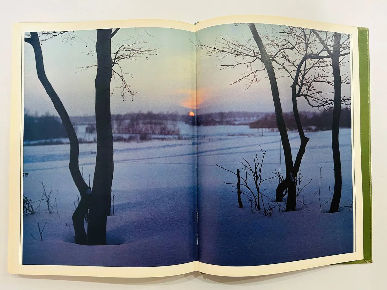 Книга Фотоальбом Природа подмосковья Завидово 1984 год - миниатюра 6
