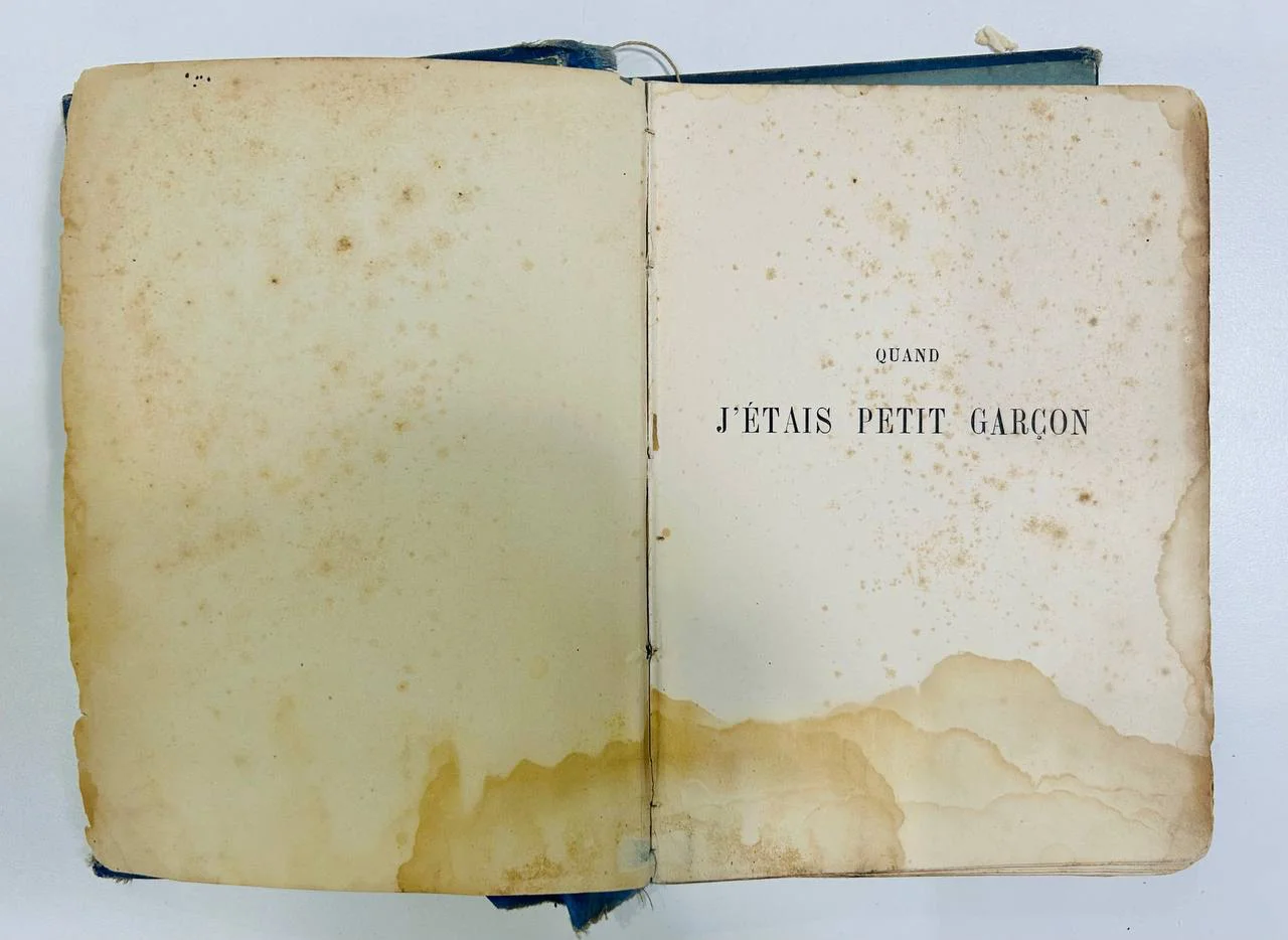 Книга Quand j’etais petit garçon Girardin 1884 год Когда я был маленьким мальчиком - миниатюра 3