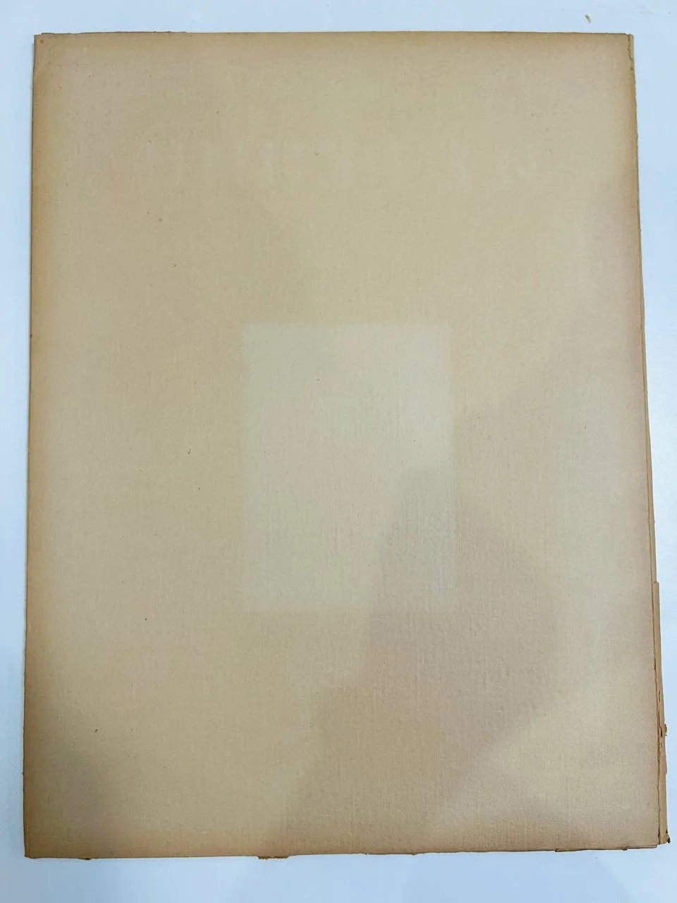 Альбом репродукций Книга Шедевры голландской живописи Хайнц Мансфельд Дрезден - миниатюра 7