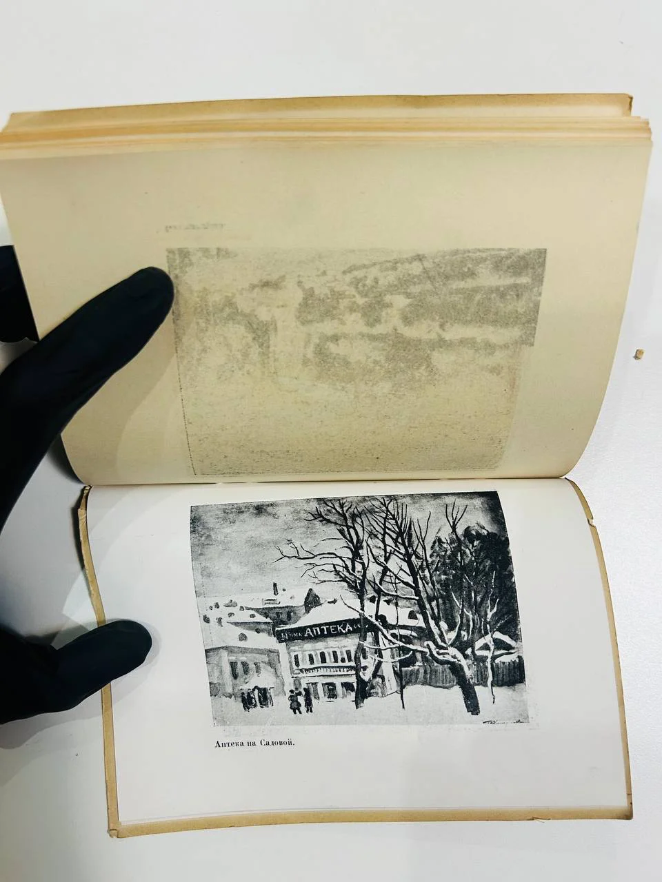 Книга Выставка картин П.П. Кончаловского 1932 год - миниатюра 6