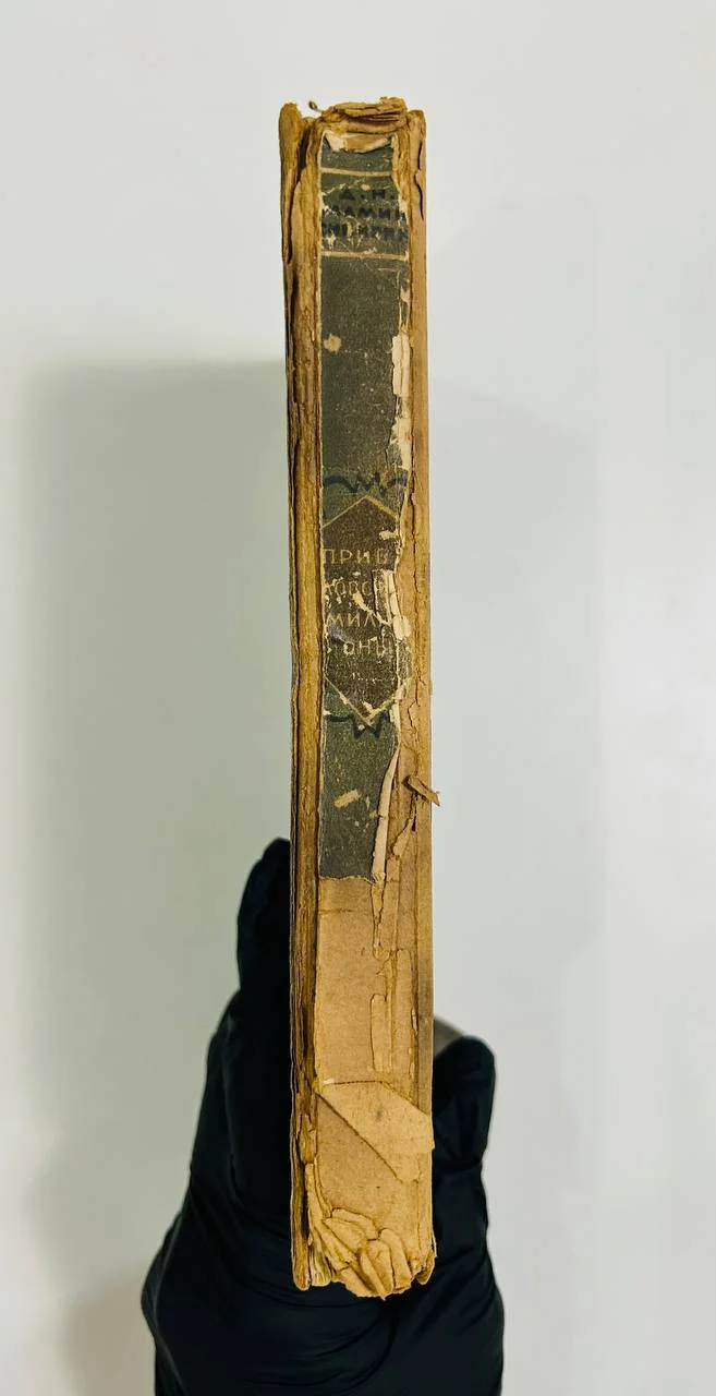 Книга Приваловские миллионы Д.Н. Мамин-Сибиряк 1927 год - миниатюра 7