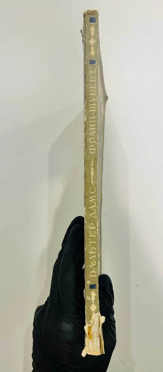 Книга Франц Шуберт В. Дамс 1928 год - миниатюра 8