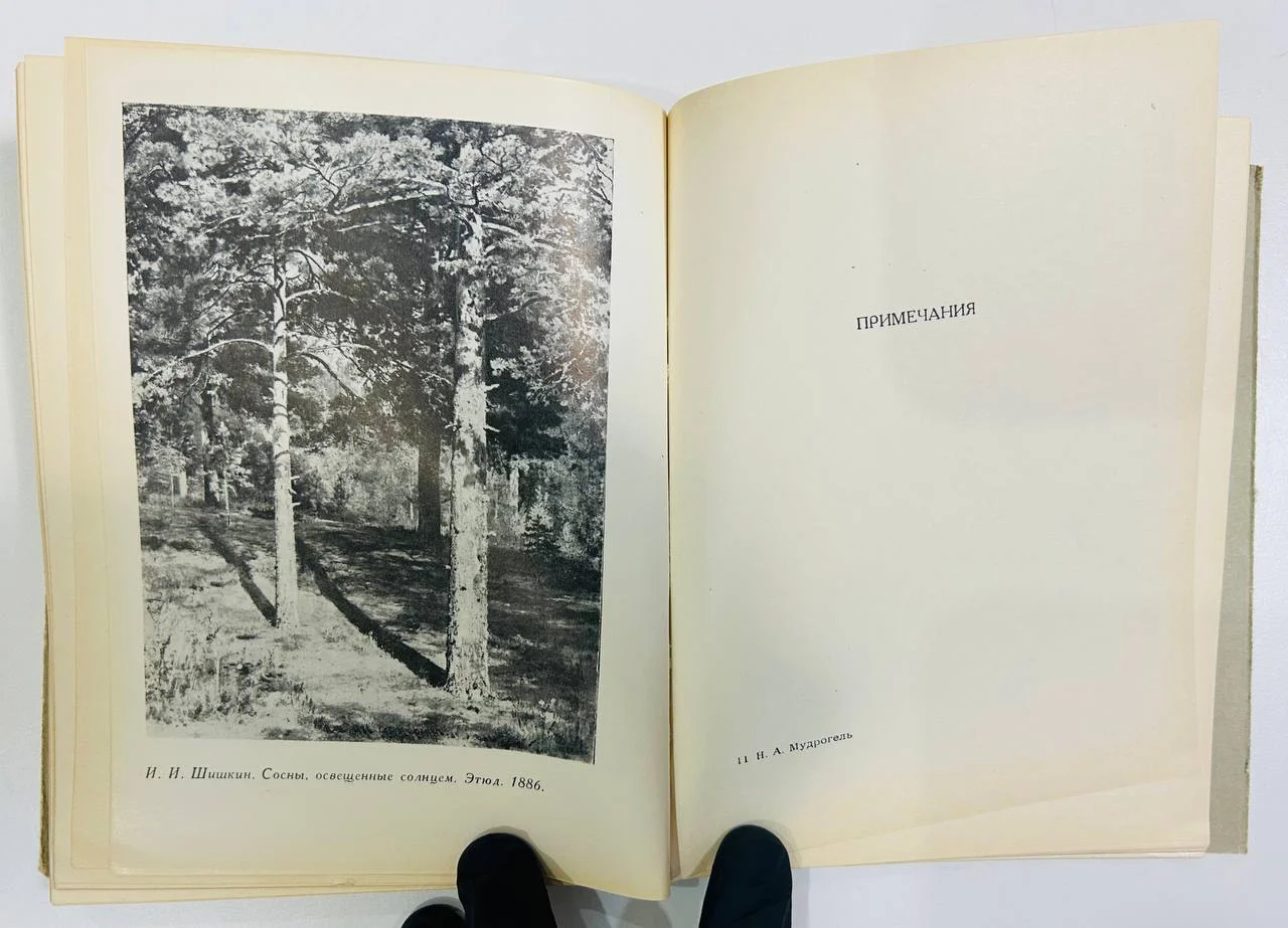 Книга Пятьдесят восемь лет в Третьяковской галерии Н. Мудрогель 1965 год - миниатюра 6