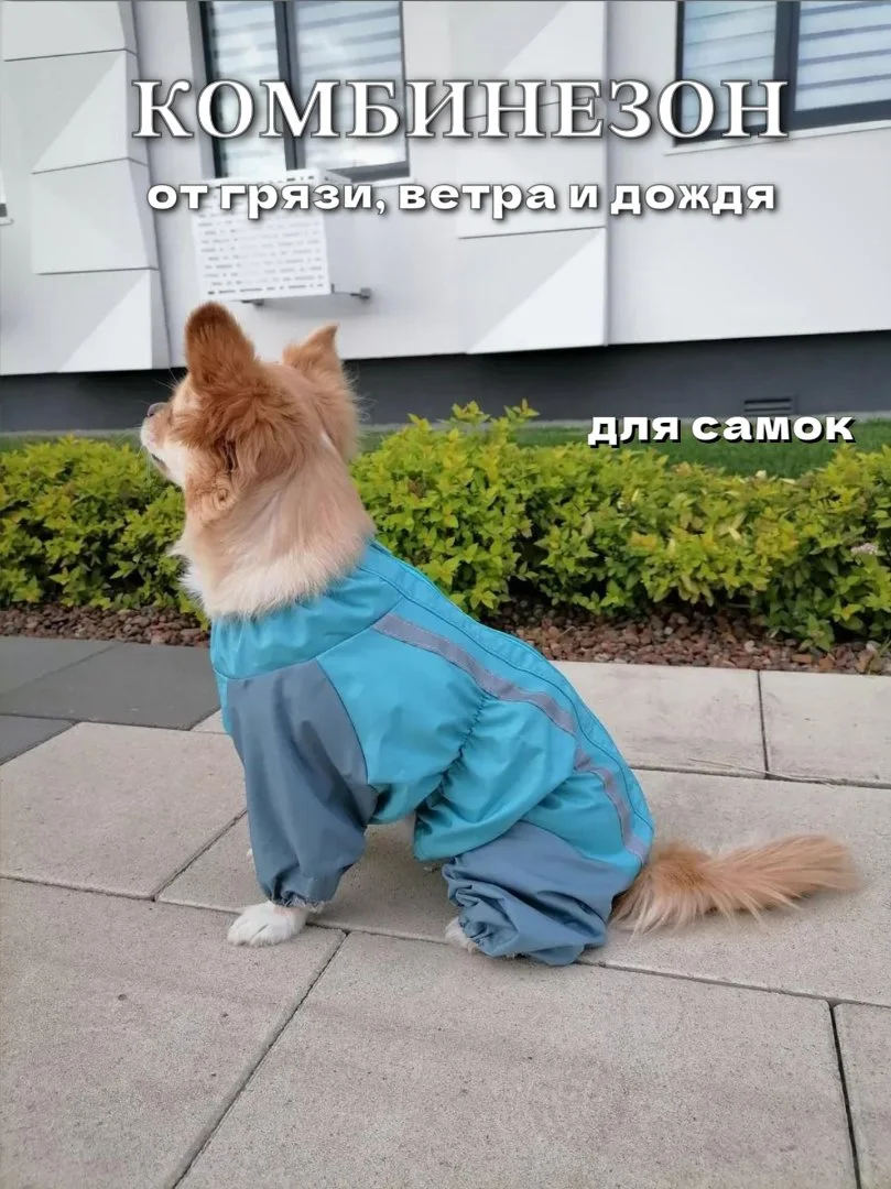 Комбинезон для собак самка (новое) размеры 32,34,36,38 все есть в наличии