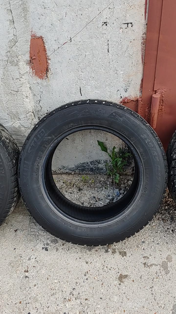 Зимние шины Kormoran SUV Stud 215/65 R17 103 сербия 2019 года - видео 6