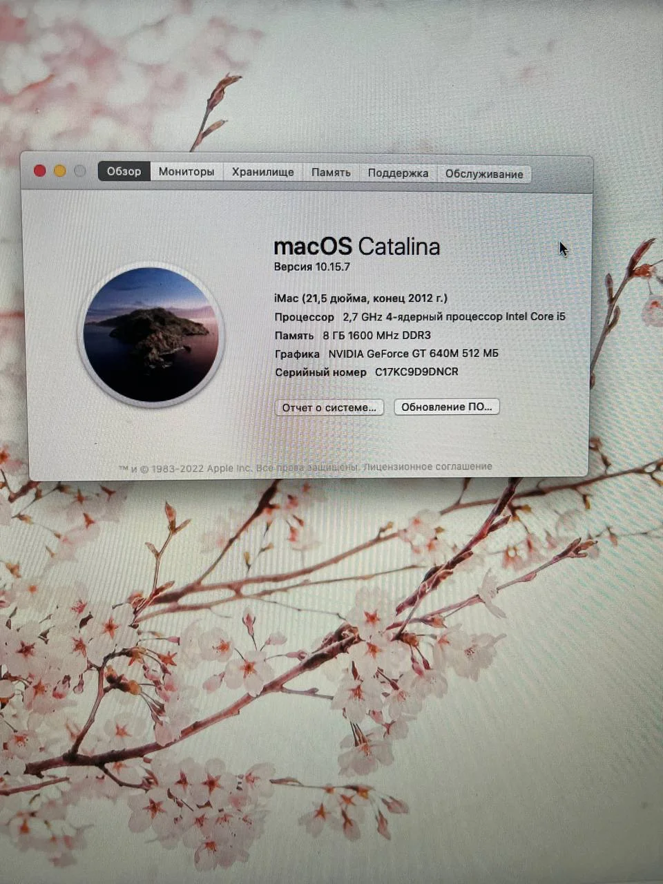 iMac 21.5 (2012) - миниатюра 2