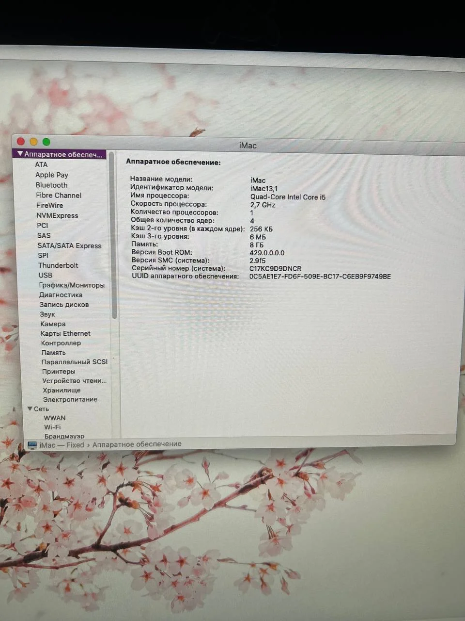 iMac 21.5 (2012) - миниатюра 6