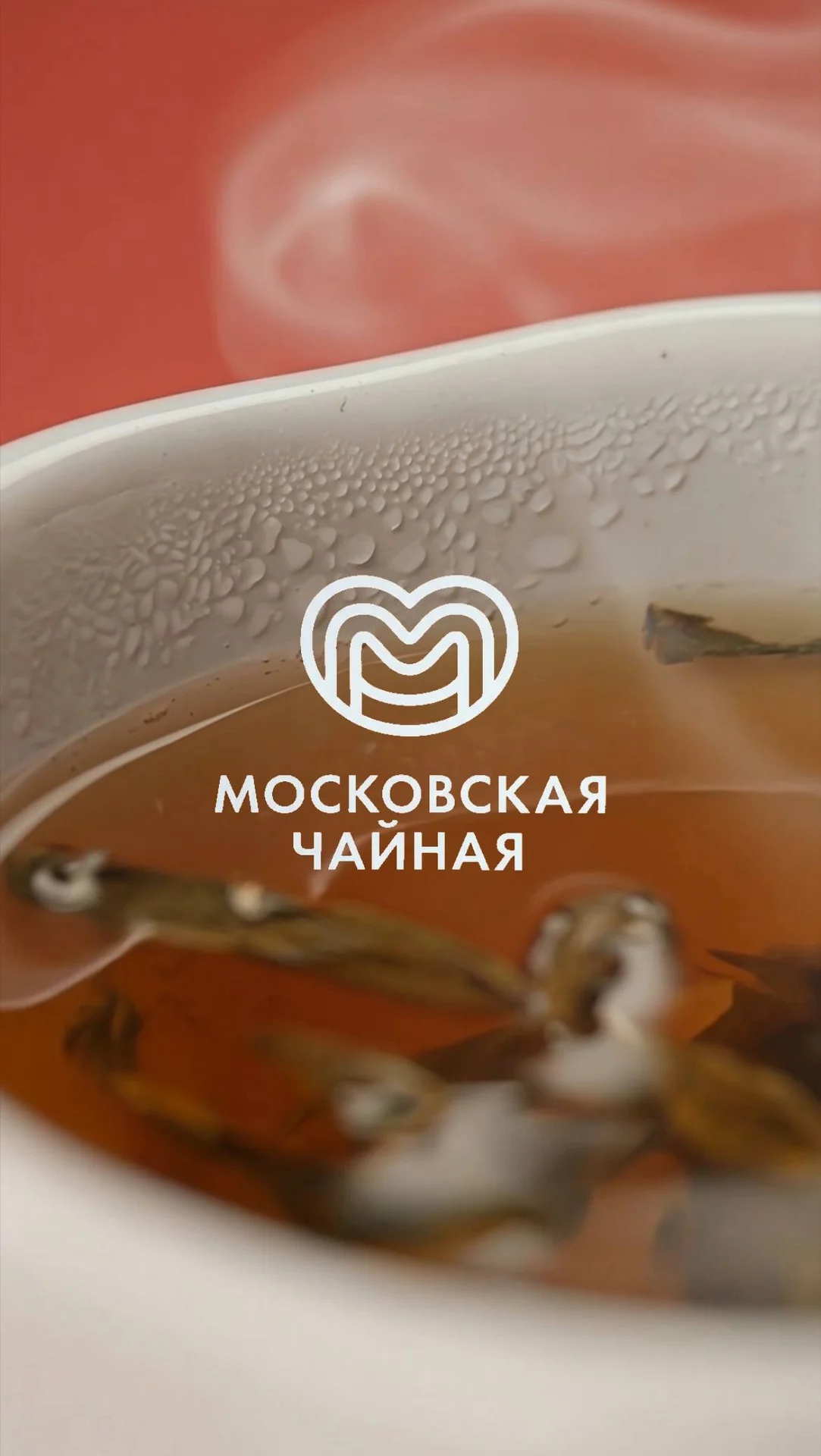 Создам рекламное ИИ видео - миниатюра 6