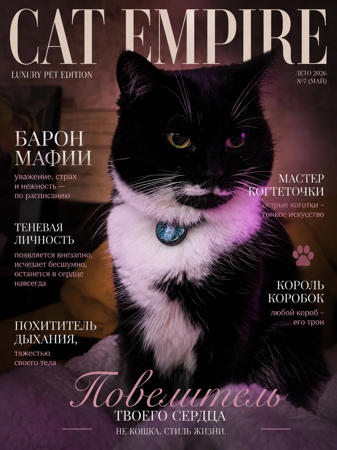Постер с вашим питомцем, обложка журнала - миниатюра 3