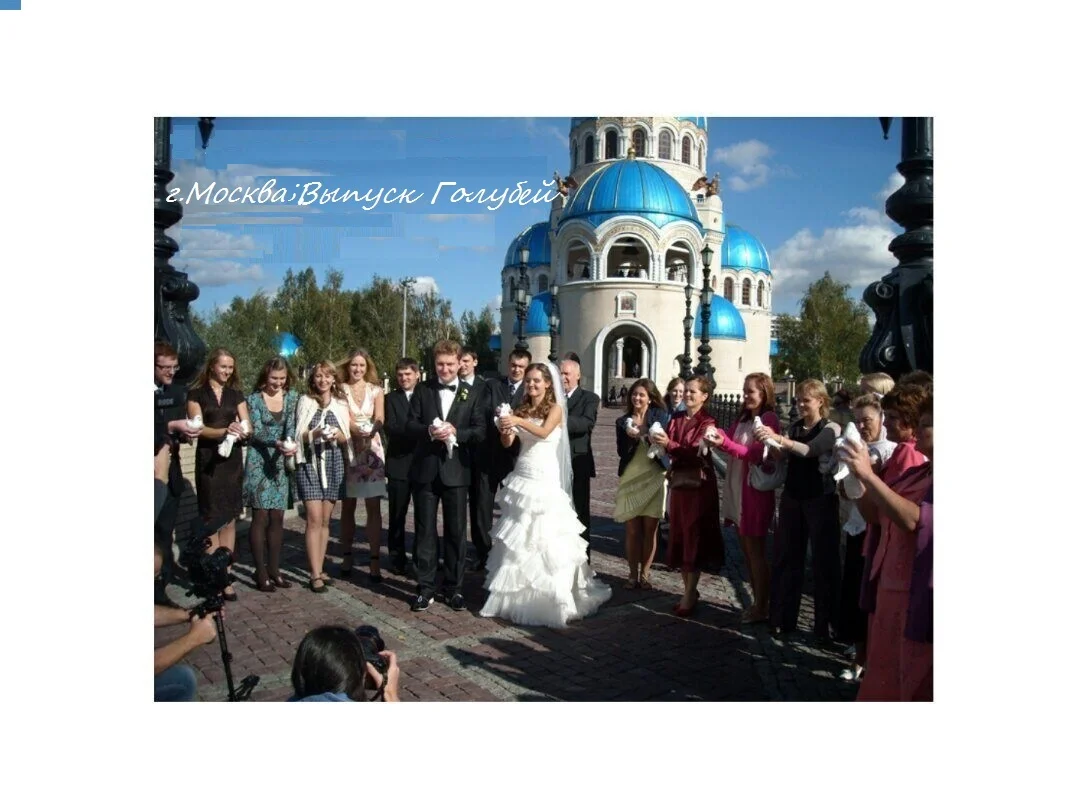 Выпуск Голубей . - миниатюра 4