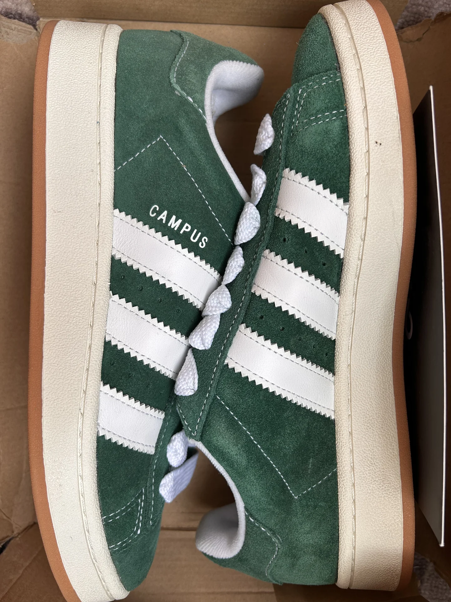 Adidas campus - изображение 1