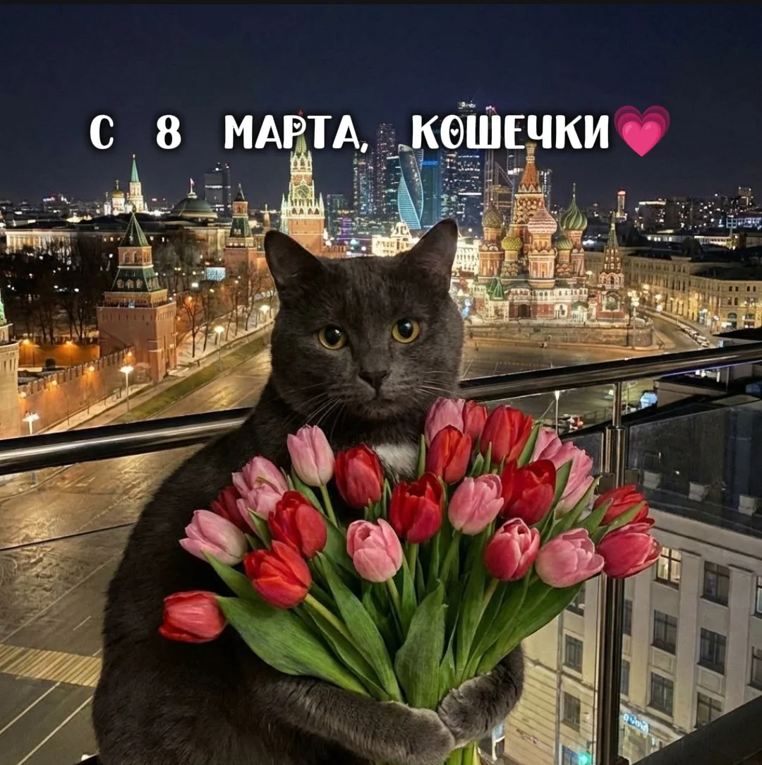 Видео и аудио монтаж, нейровидео, нейрофото - миниатюра 12