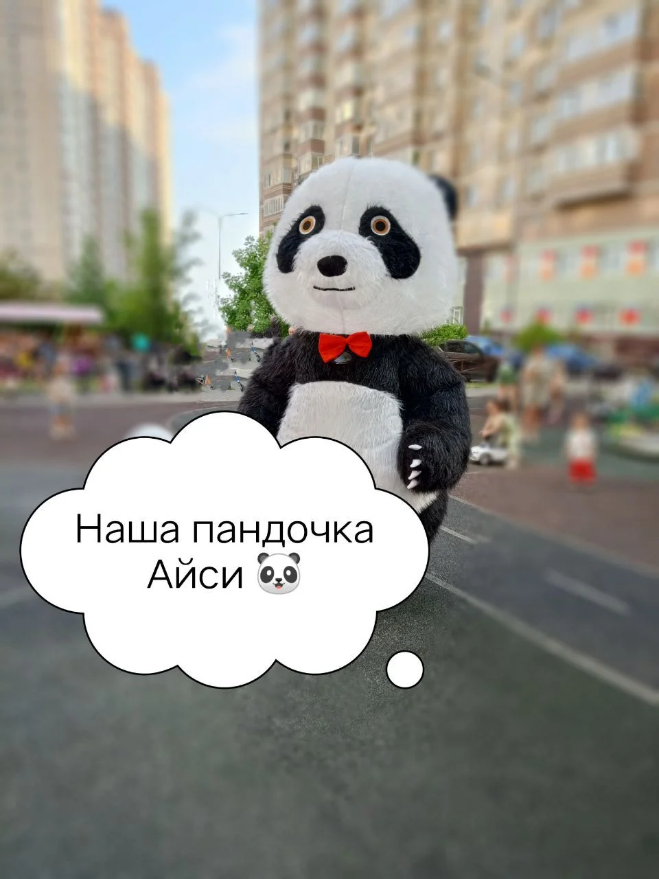 Ростовая панда - изображение 1